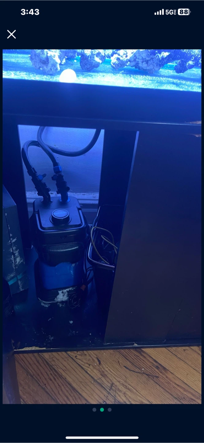 75 Gallon Fish Tank with Stands, decor and accessories - photo 2