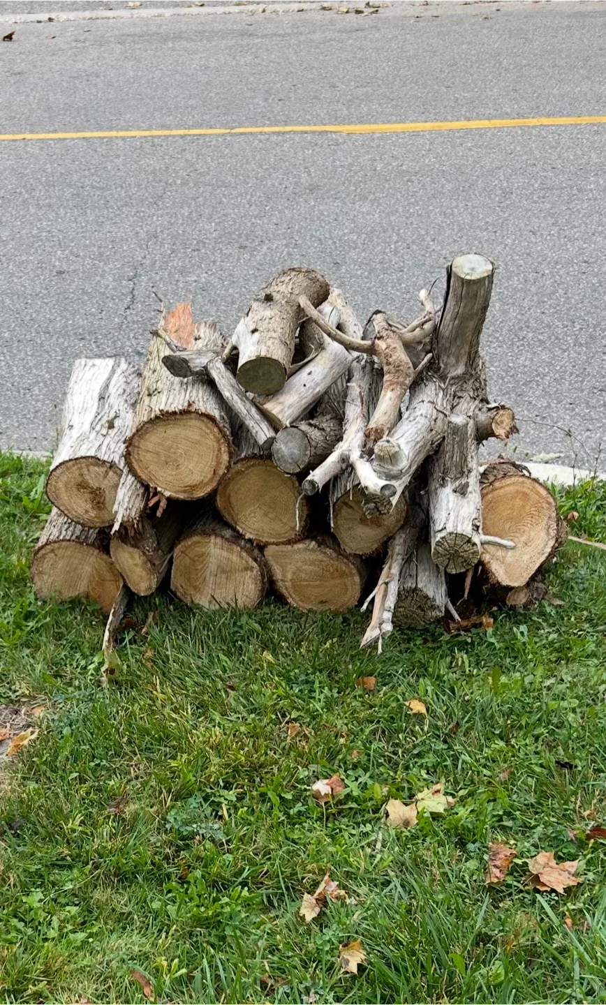 Firewood Logs thumbnail