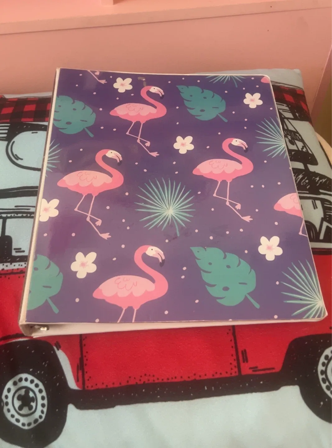 Flamingo Binder thumbnail