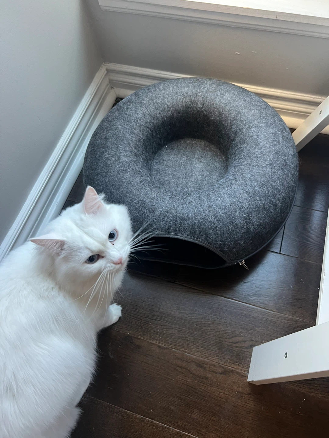 Cat Tunnel Bed / Cave - Felt Material