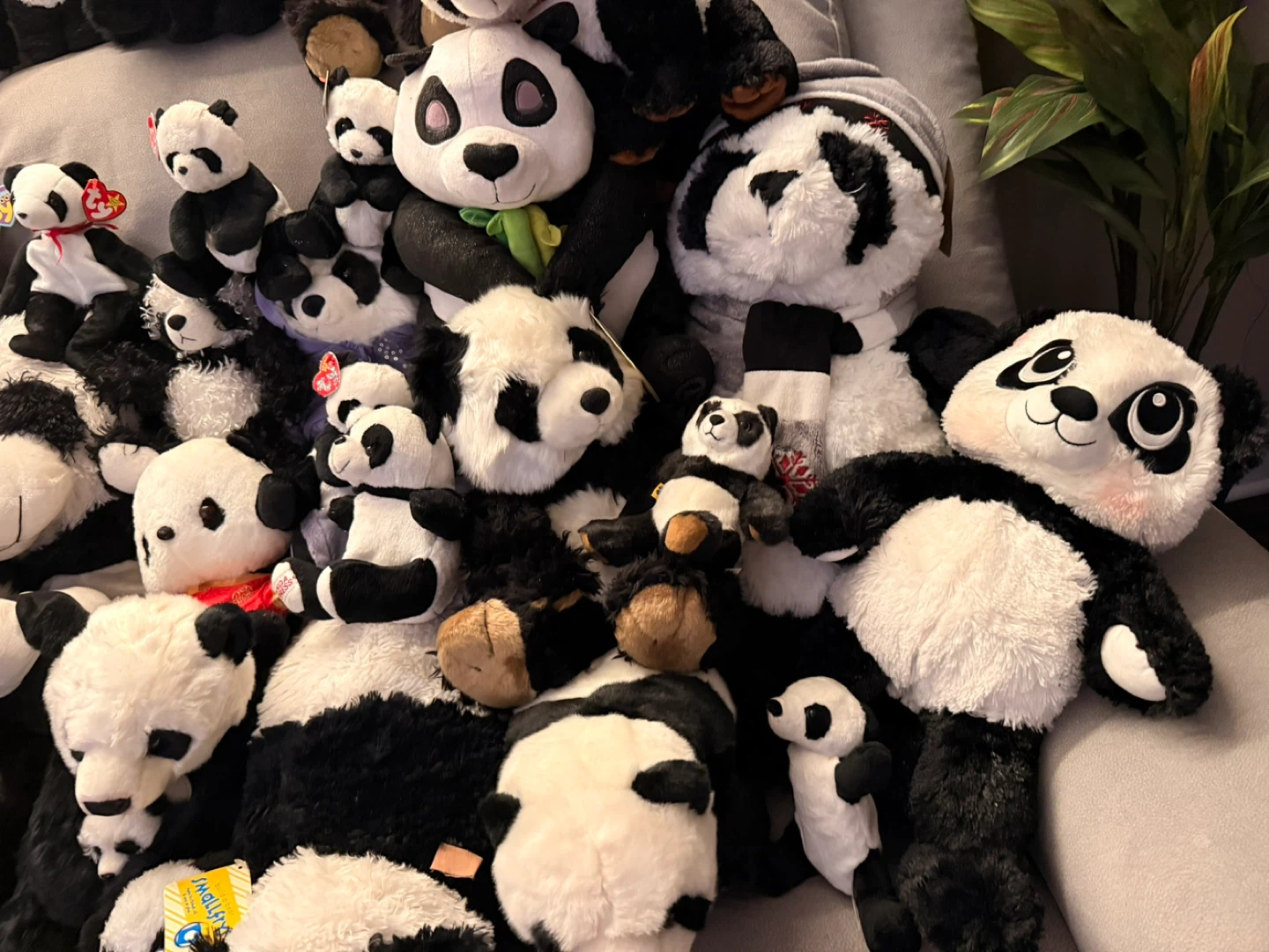 Huge Panda Collection – Plush & Figurines – Sold as Lot - photo 4