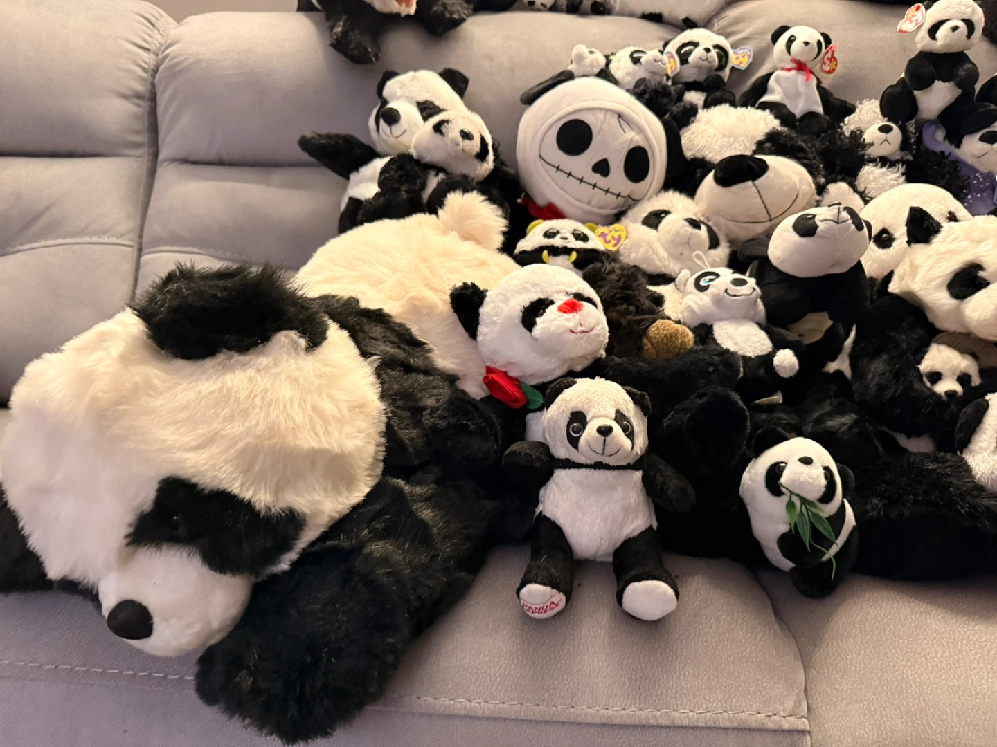 Huge Panda Collection – Plush & Figurines – Sold as Lot - photo 3