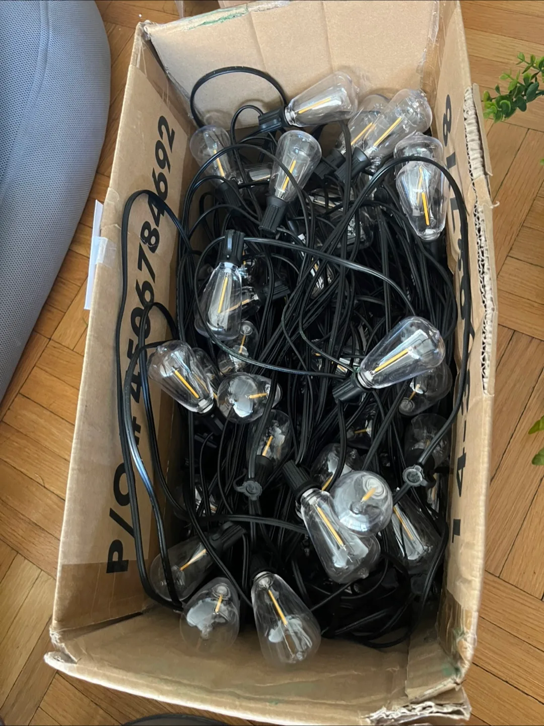 String Lights with Edison Bulbs thumbnail