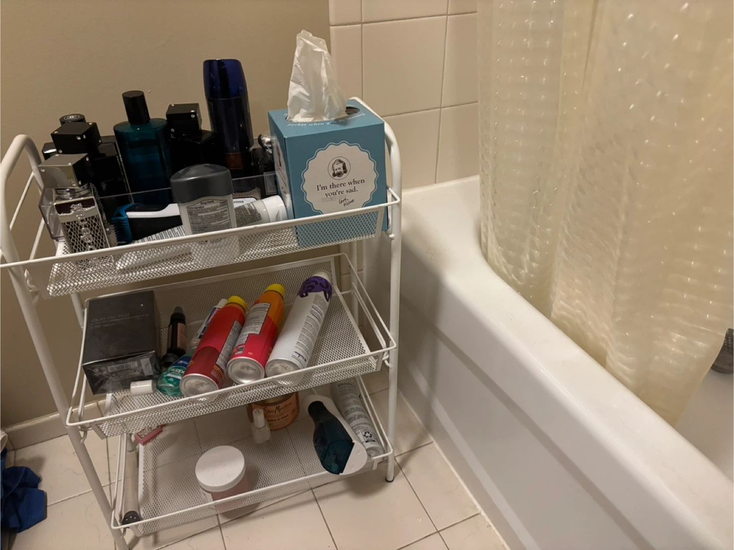 Bathroom cart with wheels (3 months old perfect condition)