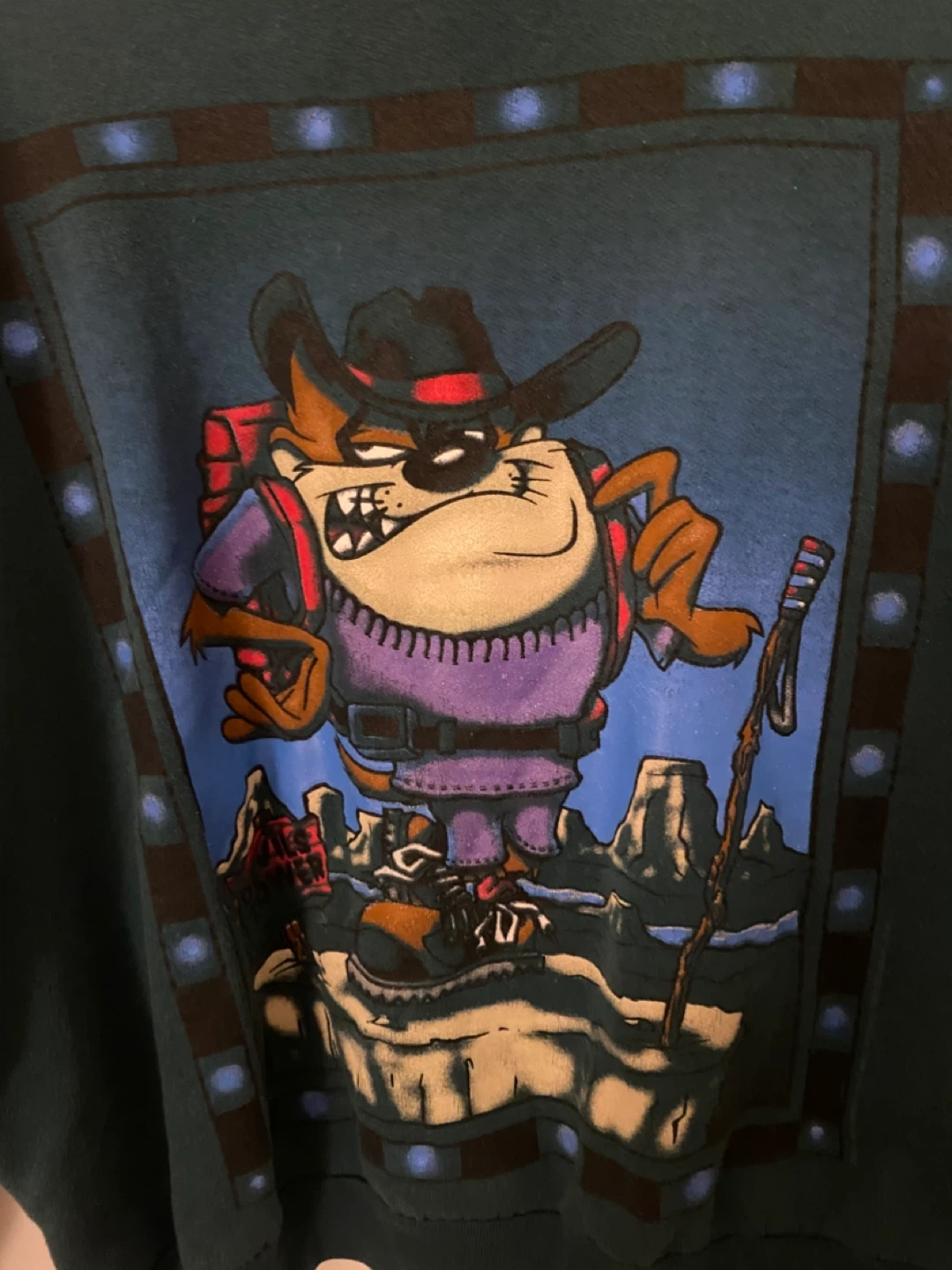 Vintage Taz Tasmanian Devil Crewneck Sweatshirts!