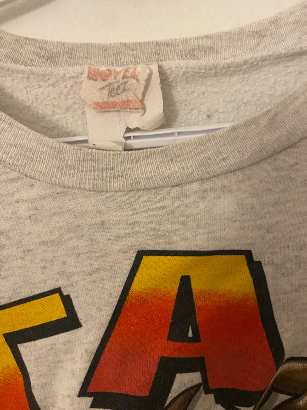 Vintage Taz Tasmanian Devil Crewneck Sweatshirts! - photo 5