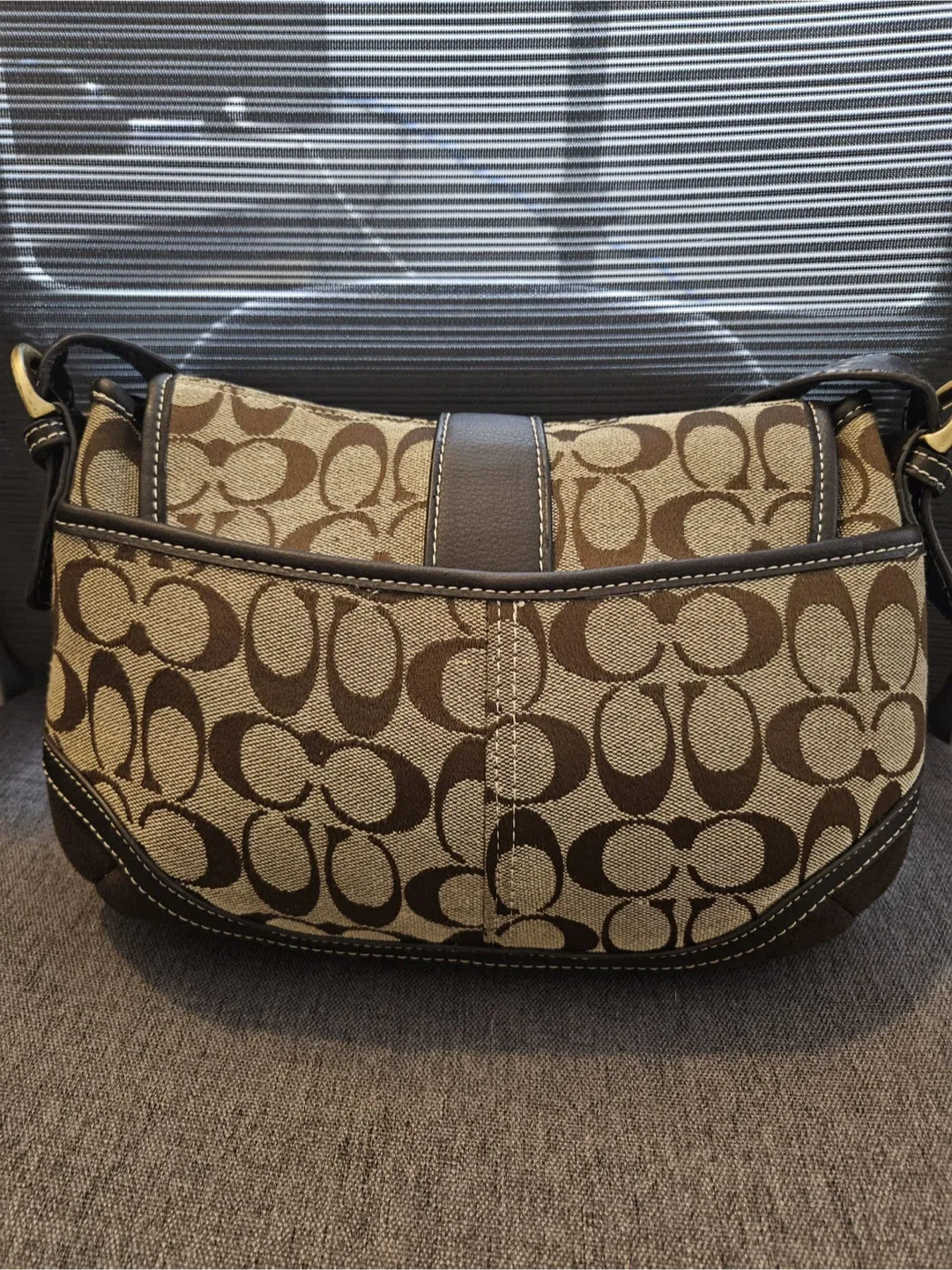 Coach Signature Canvas Hobo Bag image indicator(2)