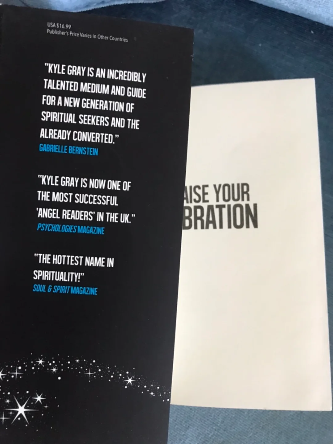 Book: Raise Your Vibration -by famous UK Medium Kyle Gray image indicator(4)