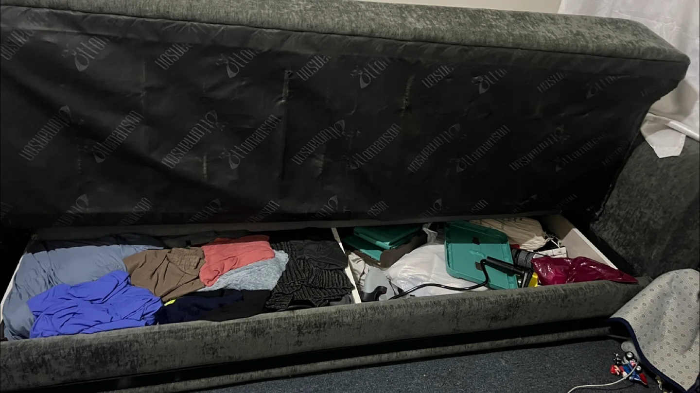 American Furniture Classics Glam Sofa Bed image indicator(5)