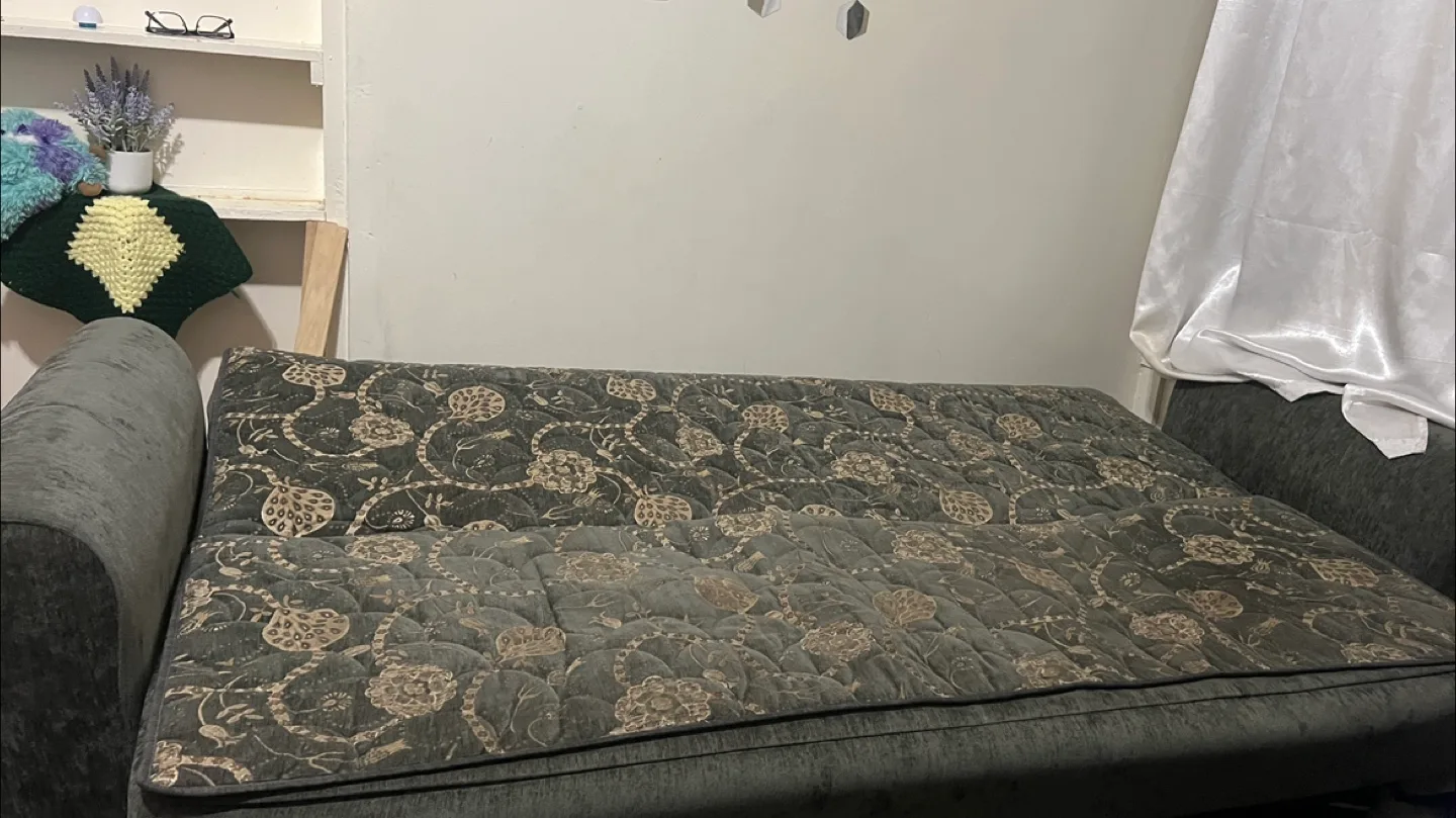 American Furniture Classics Glam Sofa Bed image indicator(2)