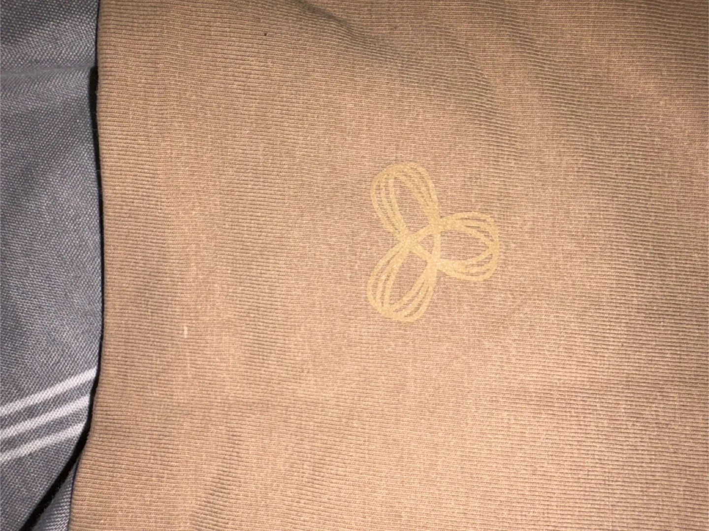 TNA Tan Shorts - Size Small image indicator(3)