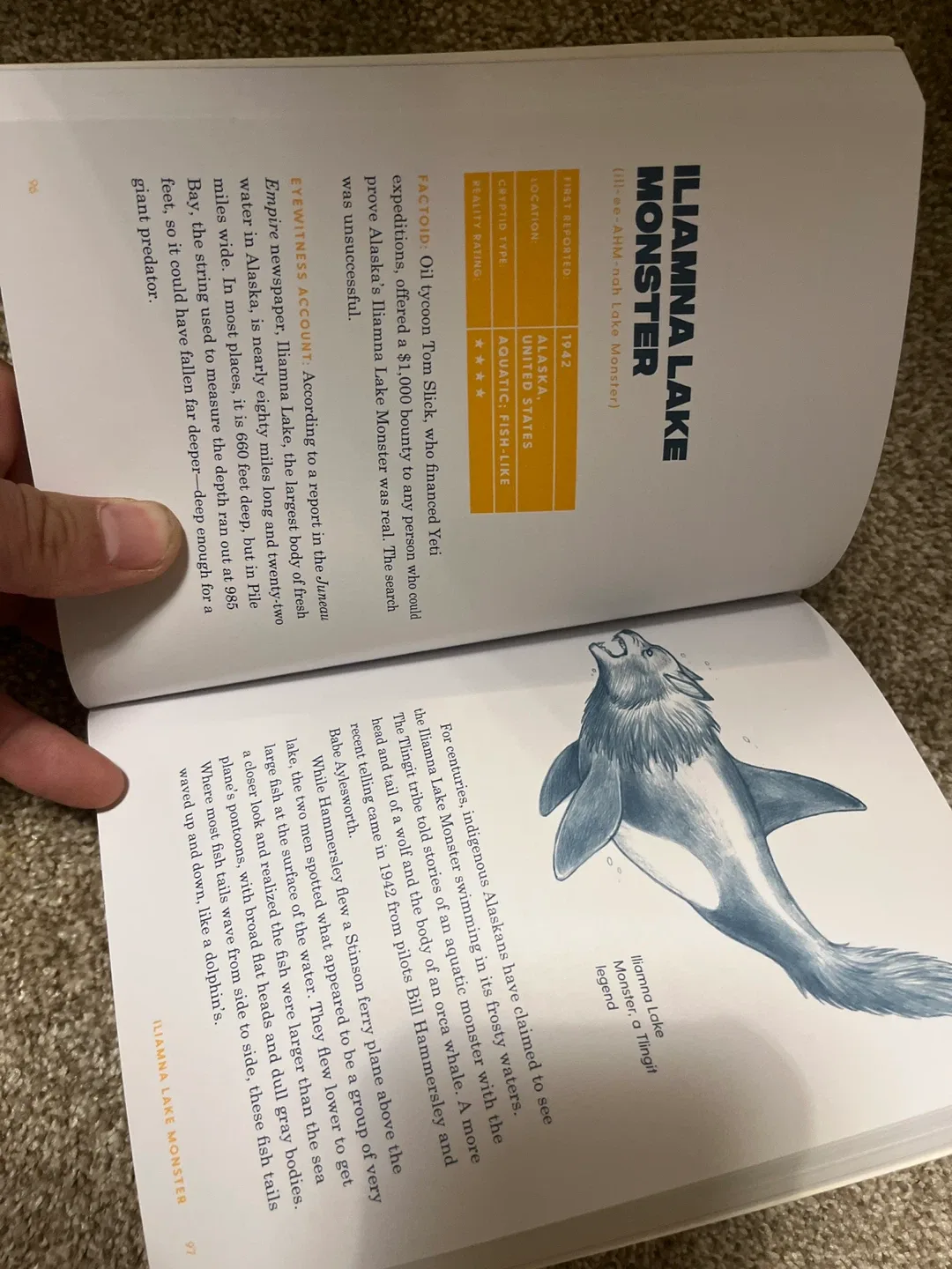 Cryptid Creatures: A Field Guide by Kelly Milner Halls 🥕 image indicator(2)