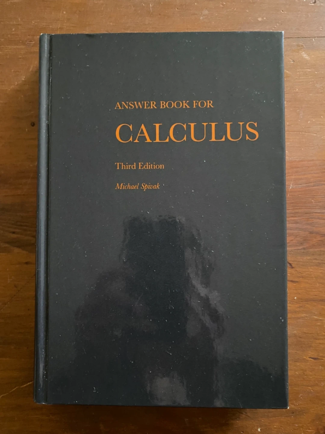Answer Book for Calculus Third Edition by Michael Spivak