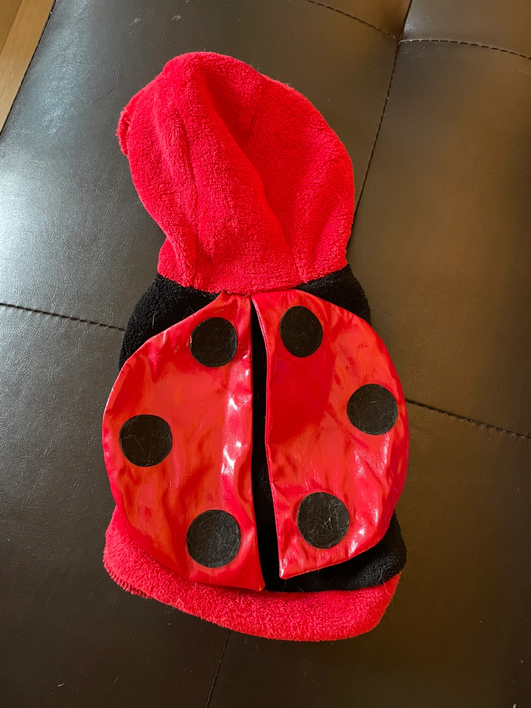 Halloween Dog Costumes - photo 4
