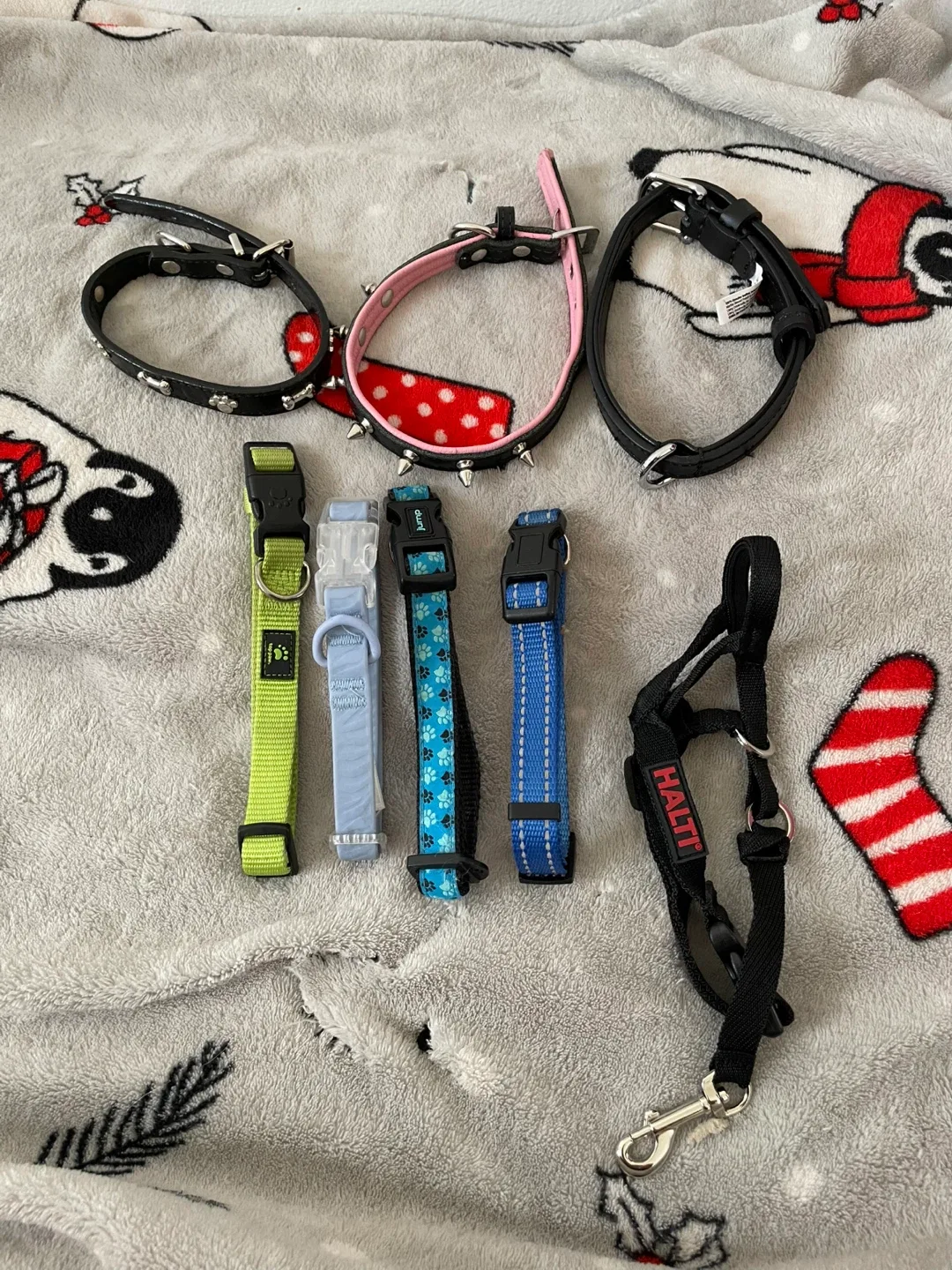 Small Dog Collars Lot thumbnail