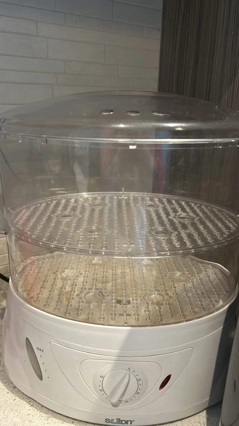 Food Steamer