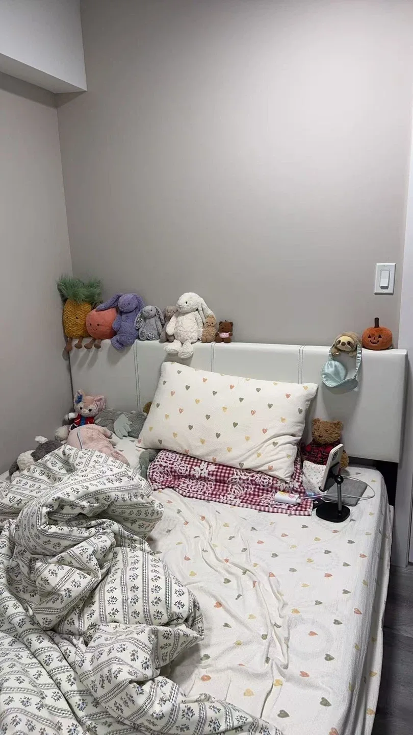 Queen Bed Frame and Mattress image indicator(3)