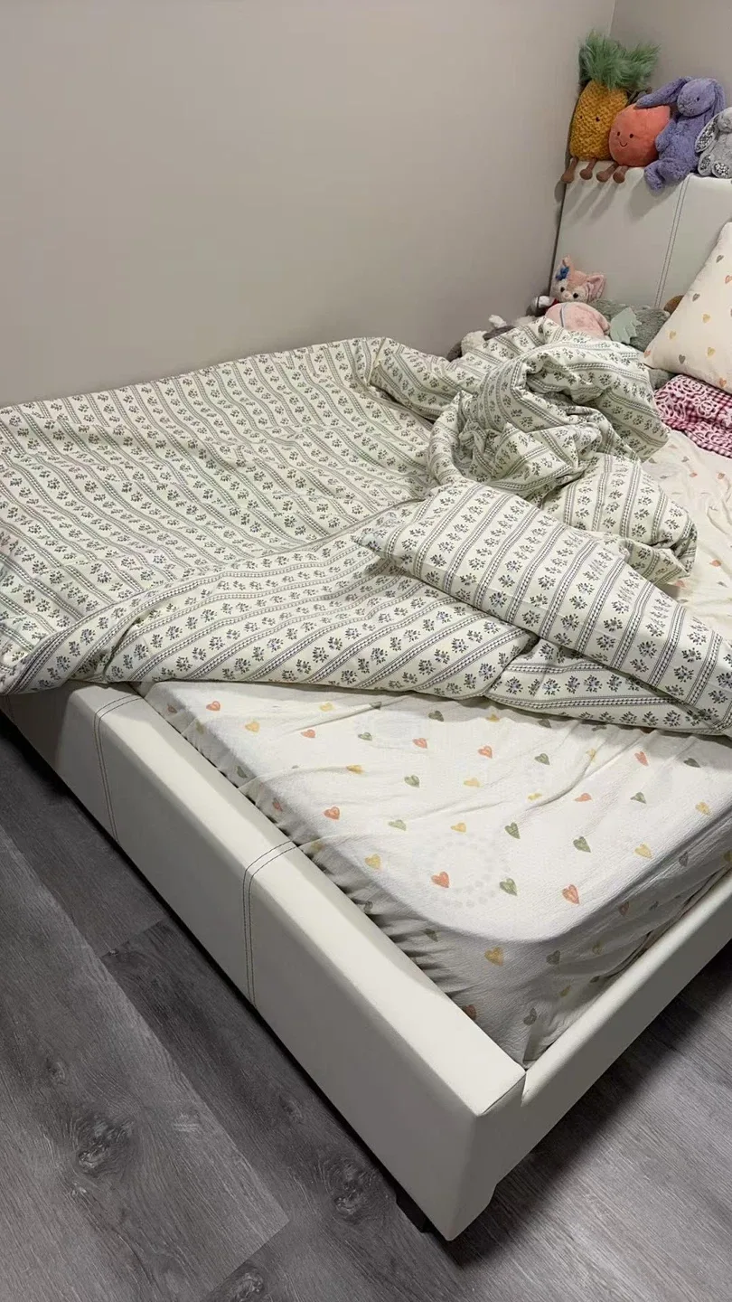 Queen Bed Frame and Mattress image indicator(2)