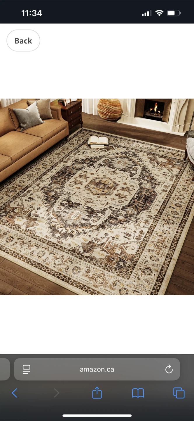 Area Rug - Beige and Brown Patterned 8X10 - Must go soon!!!
