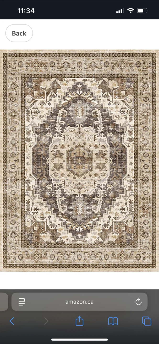 Area Rug - Beige and Brown Patterned 8X10 - Must go soon!!! - photo 2
