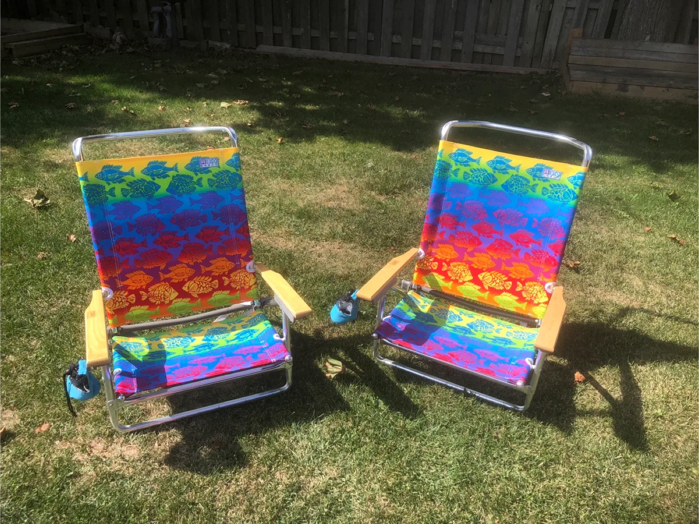 Rio Beach Folding Beach Chair - Rainbow Fish image indicator(3)