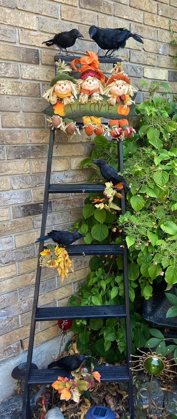 Halloween/Fall Decor Ladder image indicator(4)