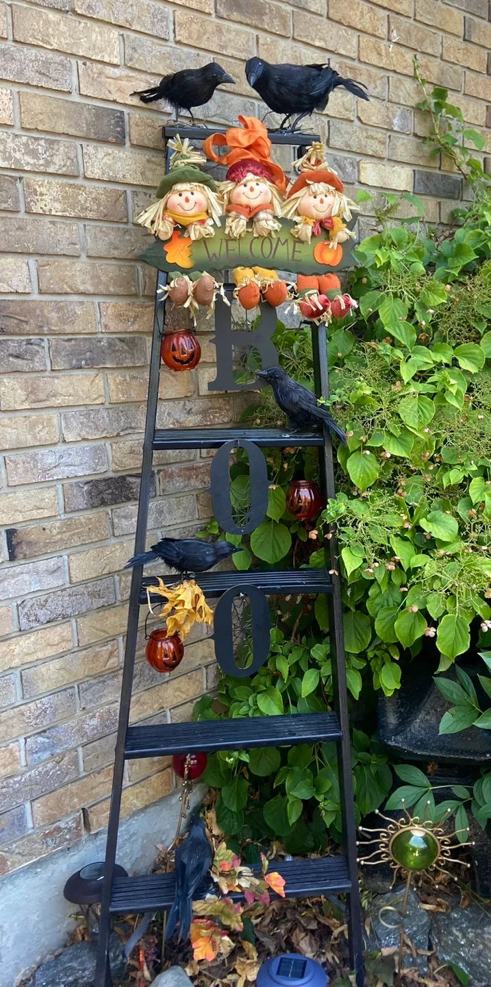 Halloween/Fall Decor Ladder image indicator(3)