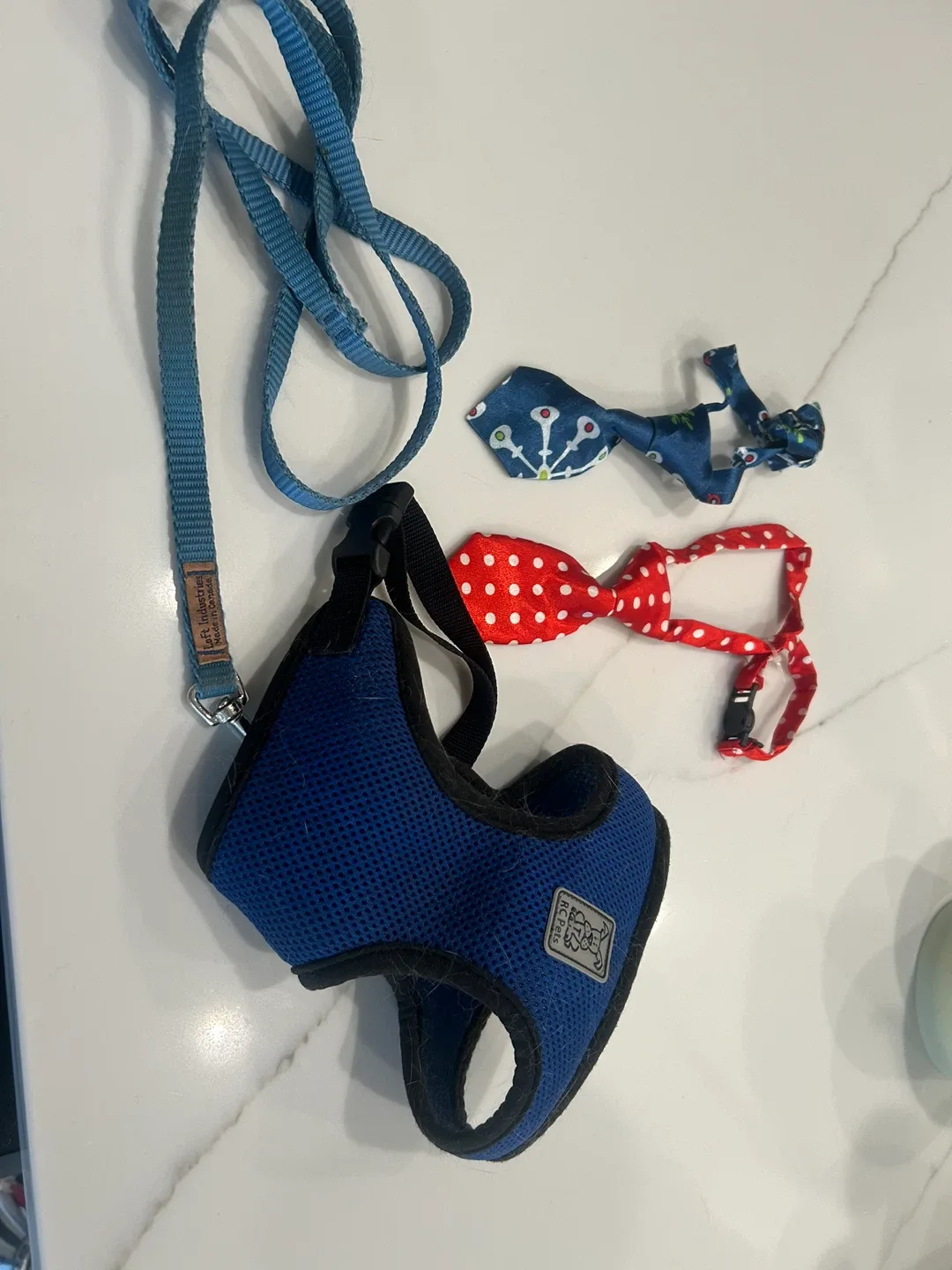 Loft Industries Dog Harness , a Leash & Bow Ties thumbnail