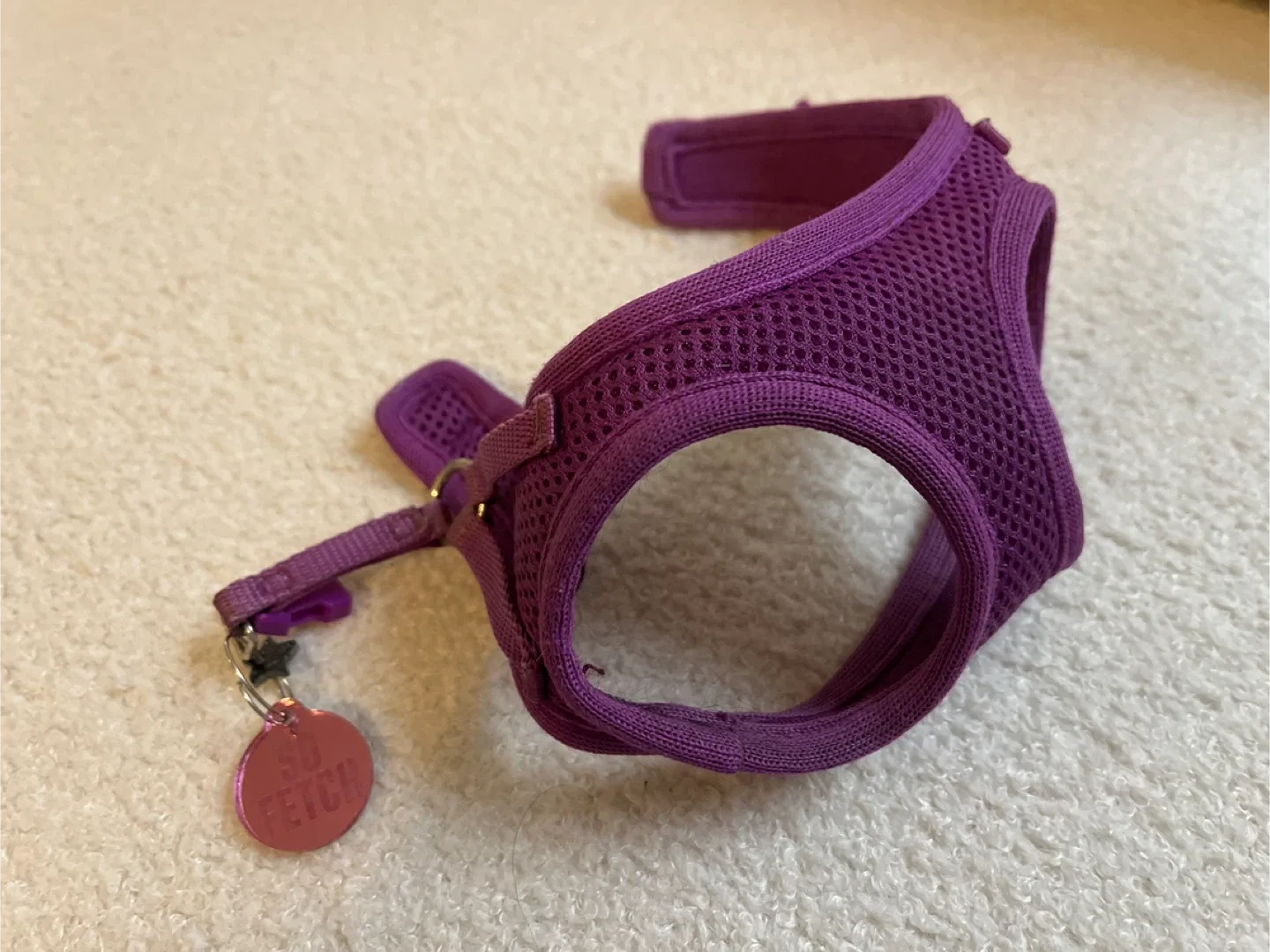 Purple Small Dog Harness— “So Fetch” tag. image indicator(4)
