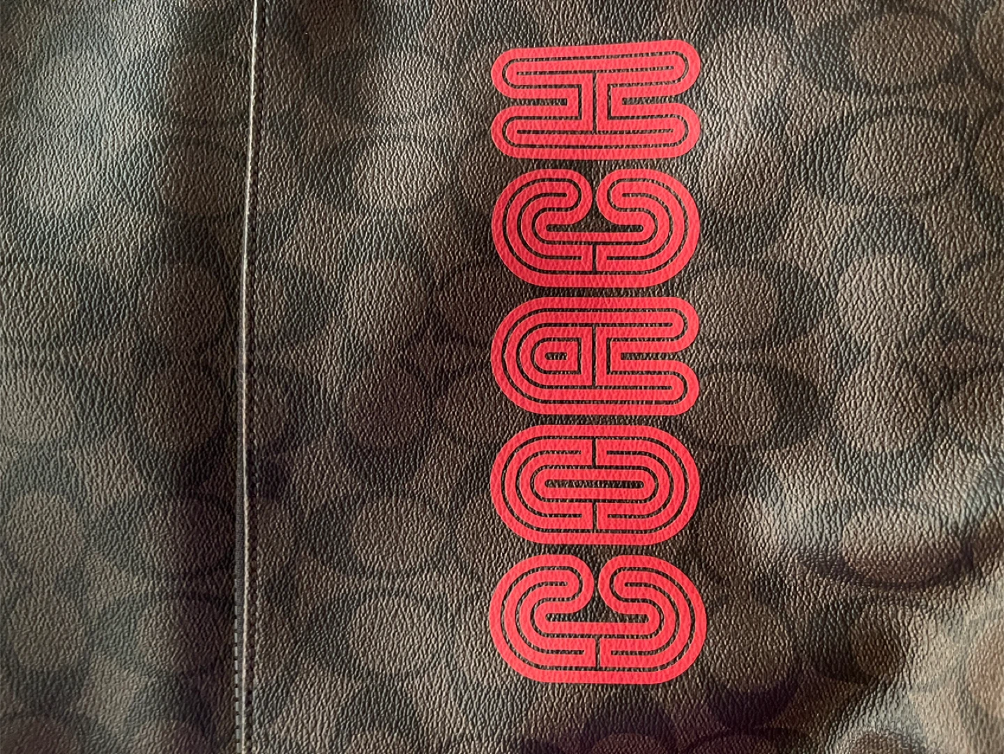 Coach Backpack - Brown & Red - photo 4