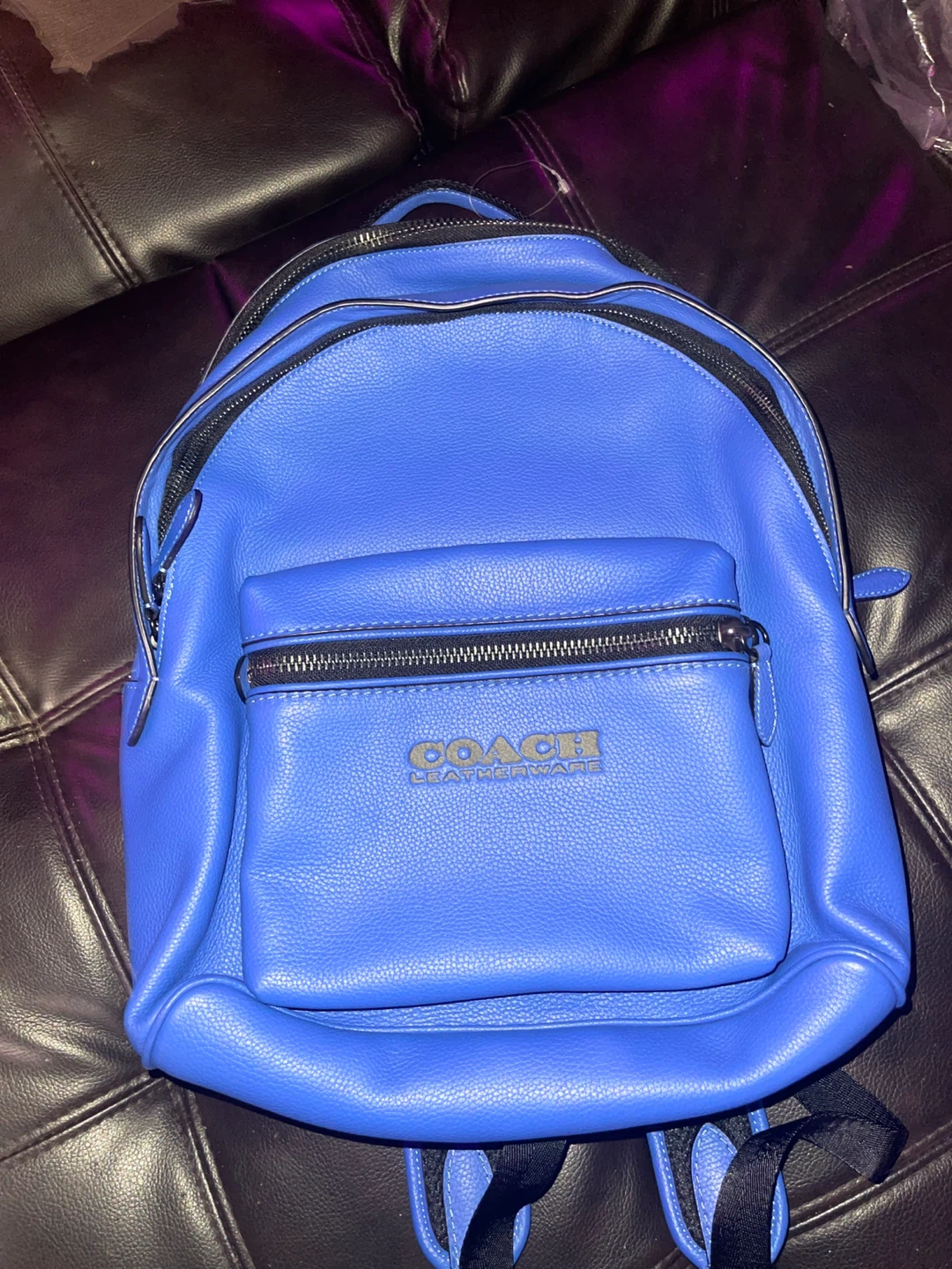 Coach Leather Backpack in Blue