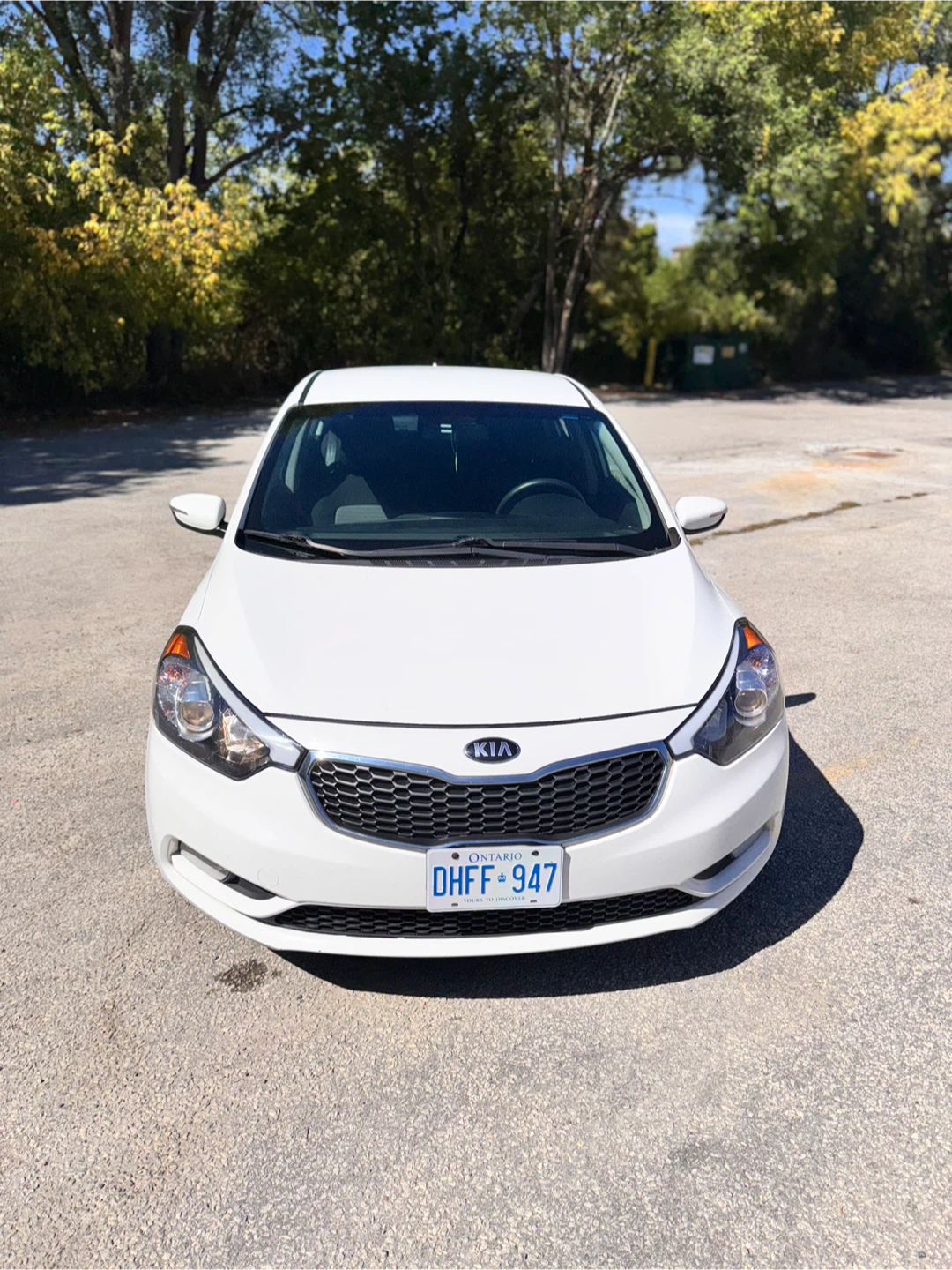 2014 Kia Forte - photo 3