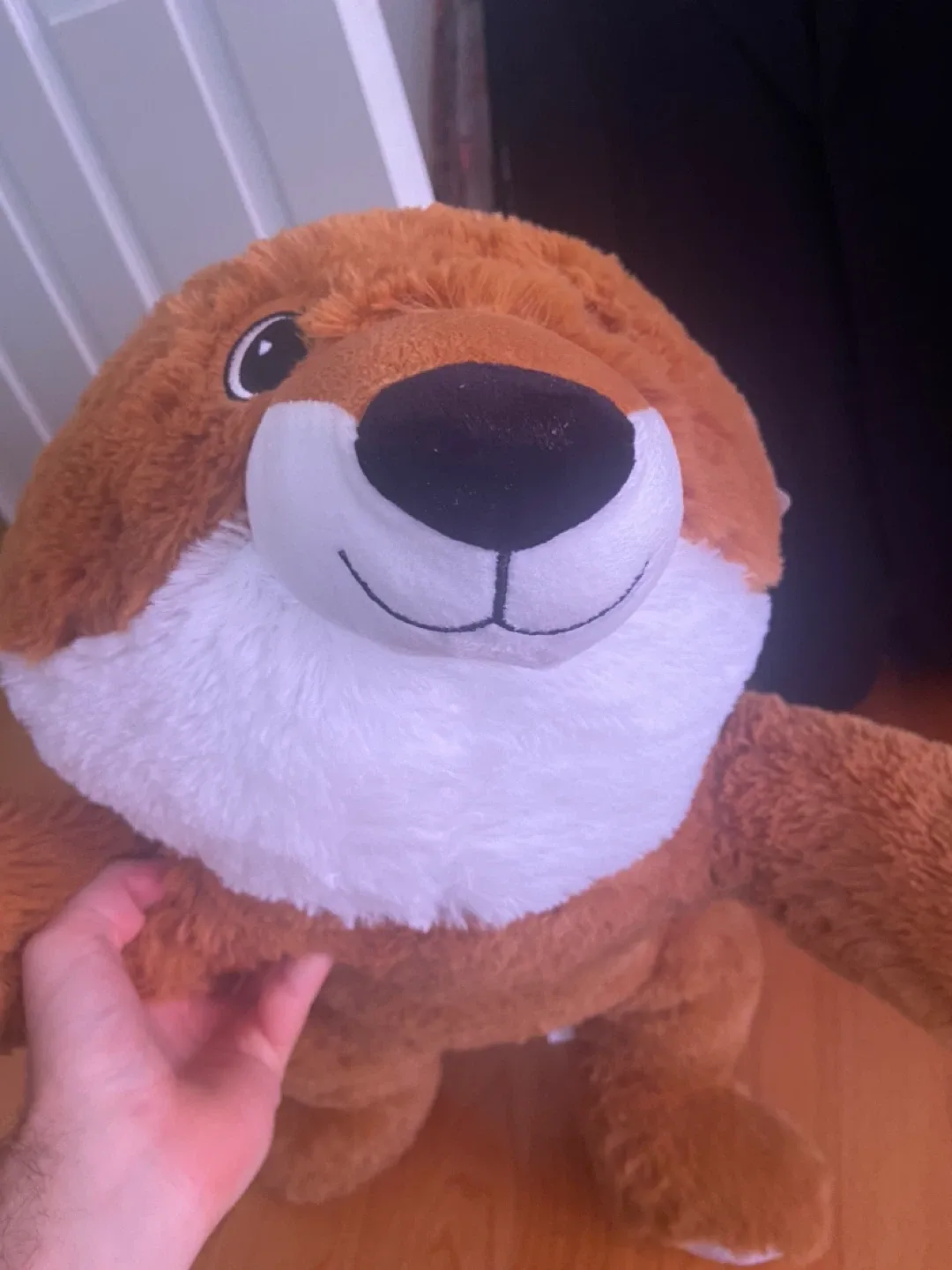 Large Play Day Plush Fox or bear? Toy - Ages 3+ image indicator(8)