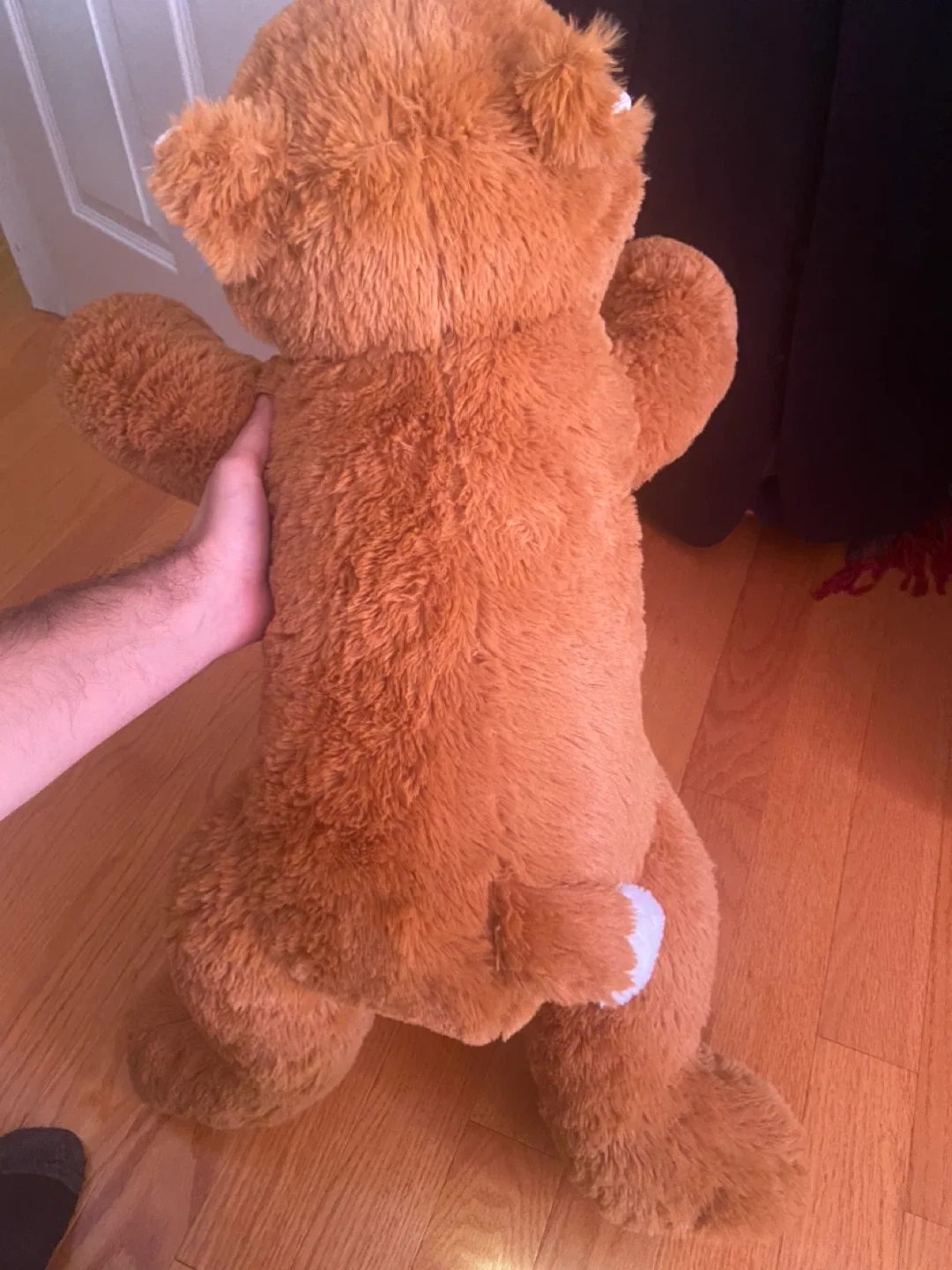 Large Play Day Plush Fox or bear? Toy - Ages 3+ image indicator(5)