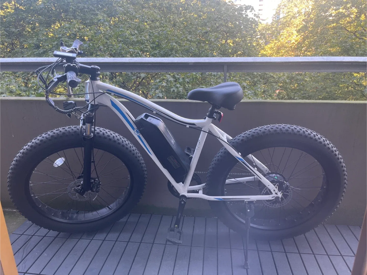 White Electric Fat Tire Bike image indicator(6)