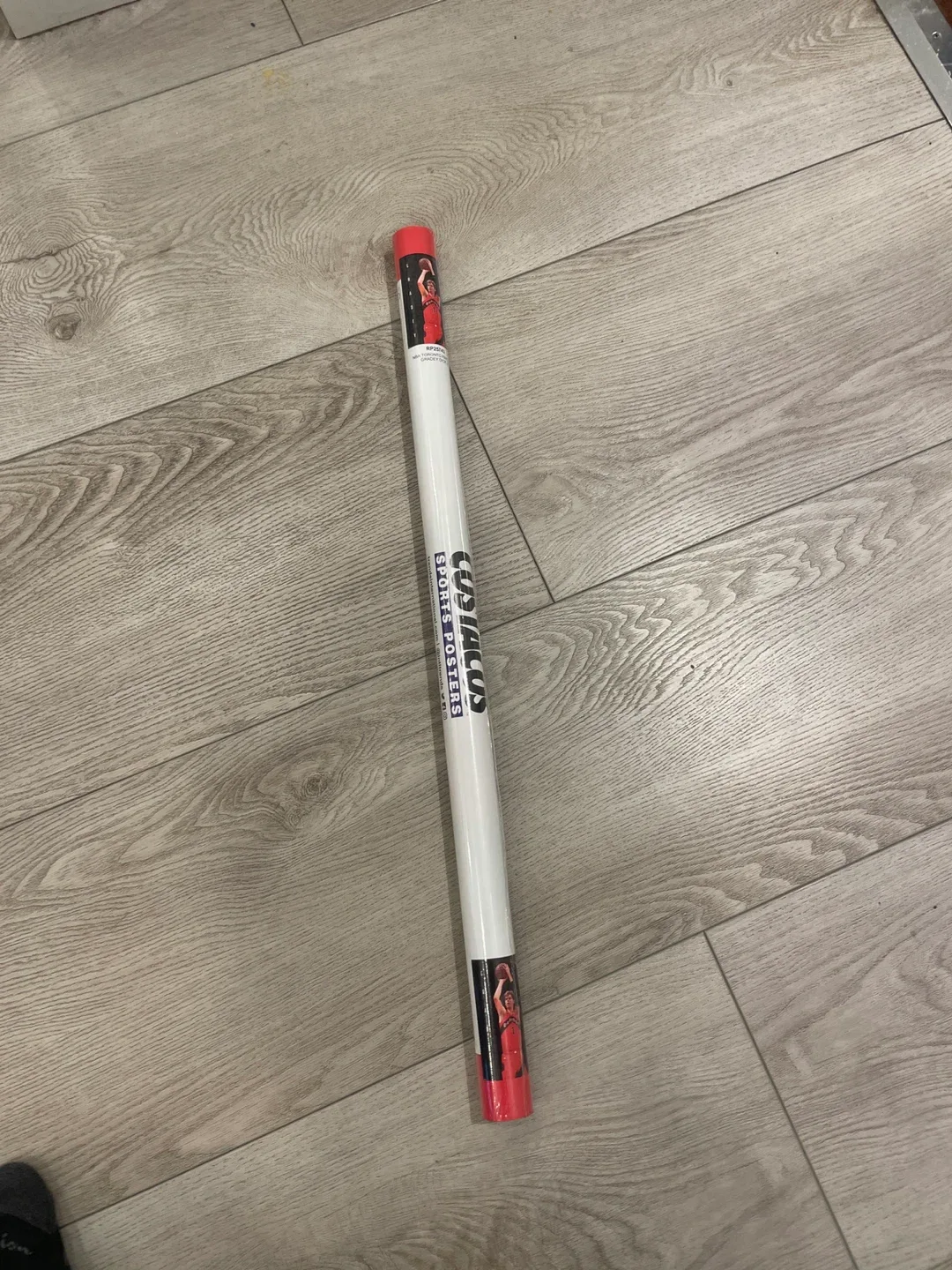 Costacos Sports Posters Toronto Raptors Gradey Dick image indicator(3)