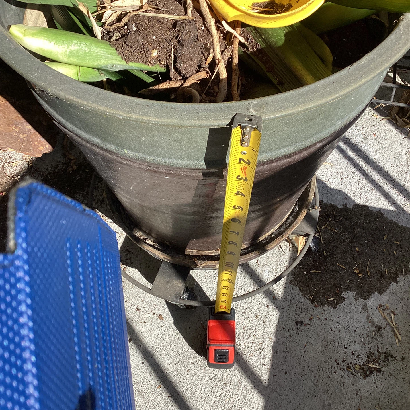 Variety of Used Flower Pots - photo 4