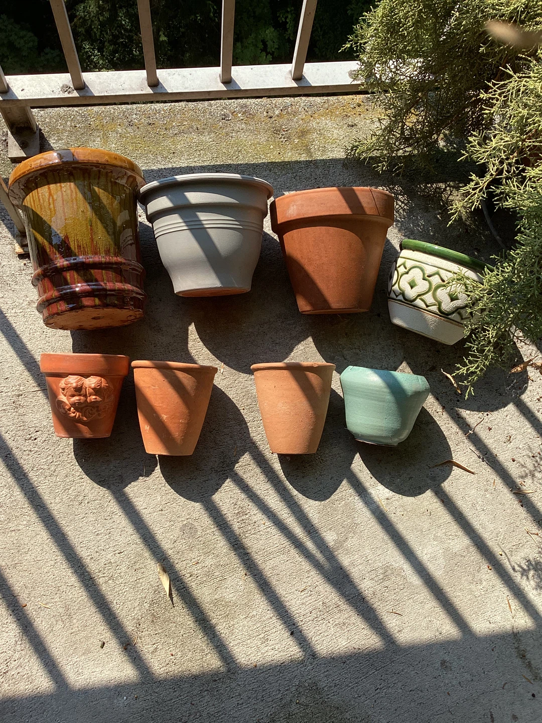 Variety of Used Flower Pots