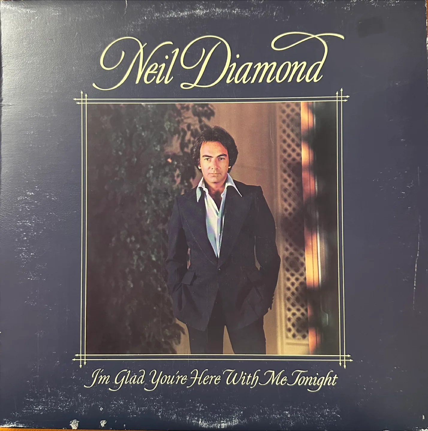 Neil Diamond - I'm Glad You're Here With Me Tonight Vinyl thumbnail