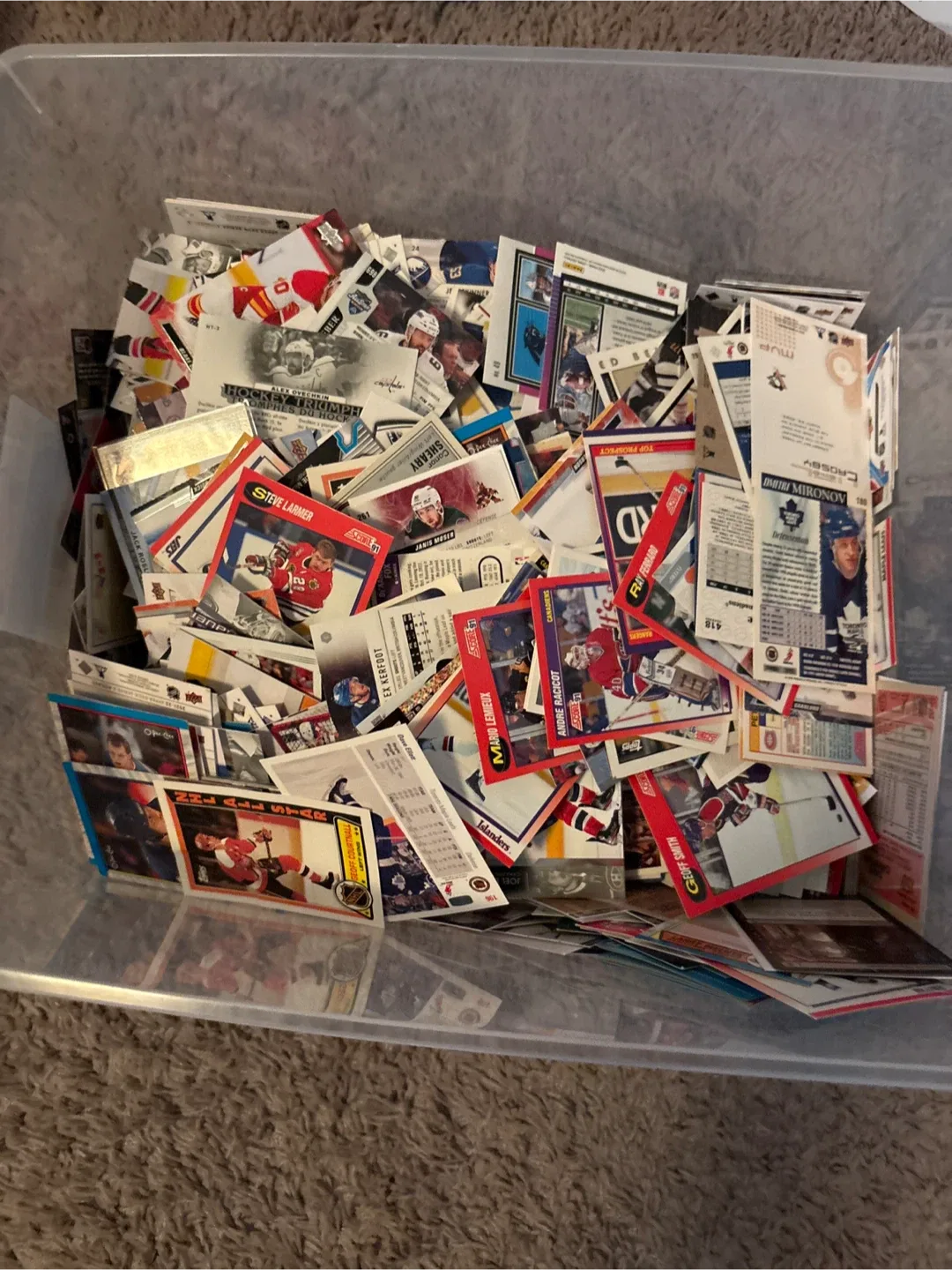 Hockey Cards Collection bull thumbnail