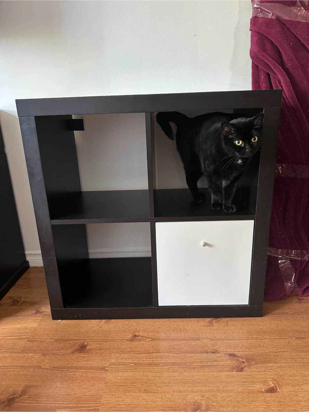 IKEA Kallax Shelf Unit - Dark Brown - photo 3