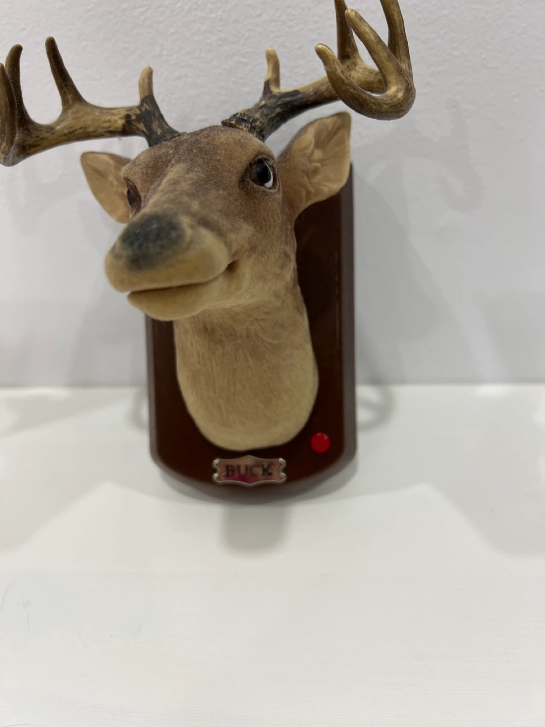 Singing and Dancing Buck Head