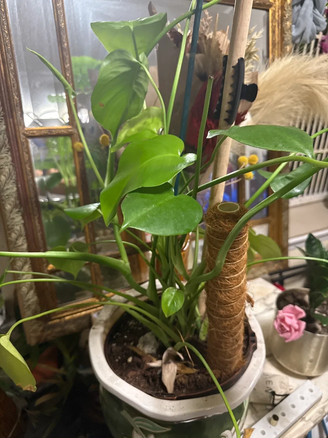 Green Flower Pot image indicator(2)