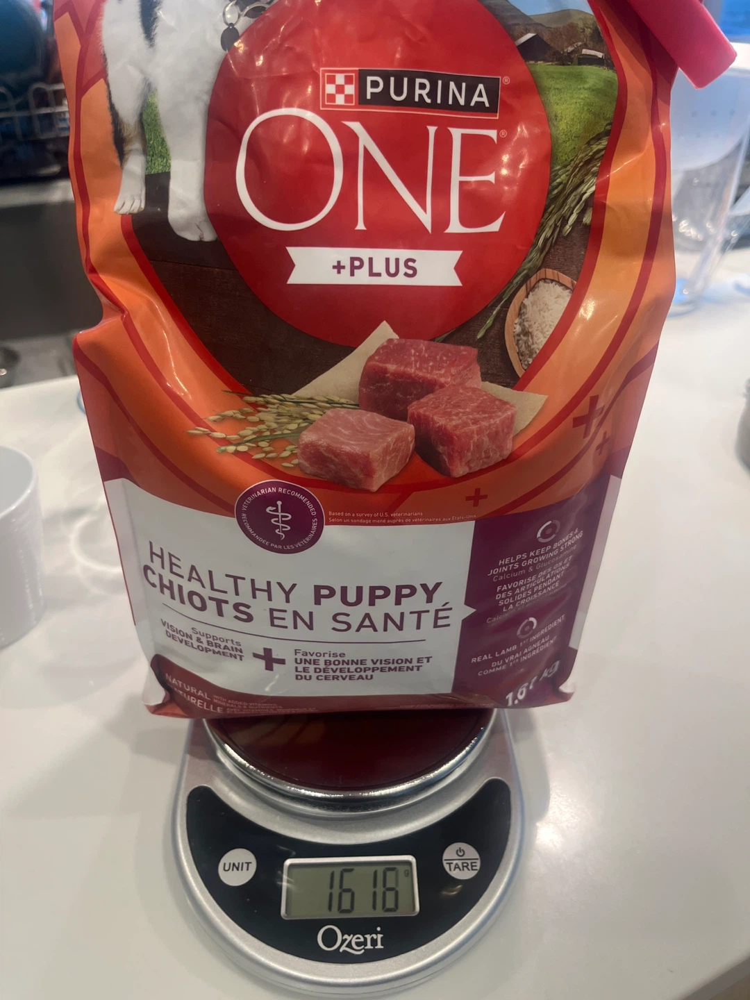Purina ONE Healthy Puppy Dog Food