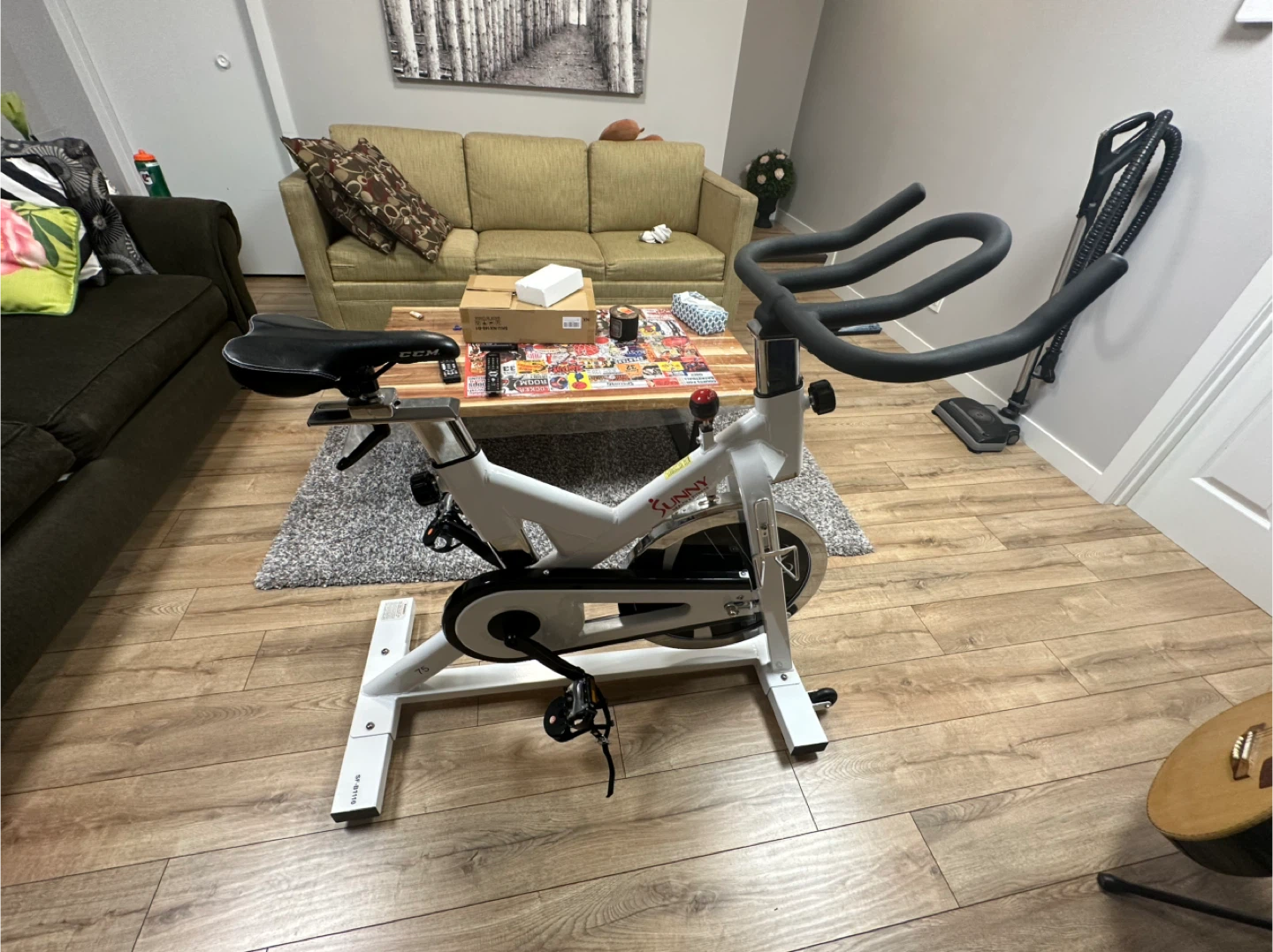 Sunny Health & Fitness SF-B1110 Indoor Cycling Bike - photo 3