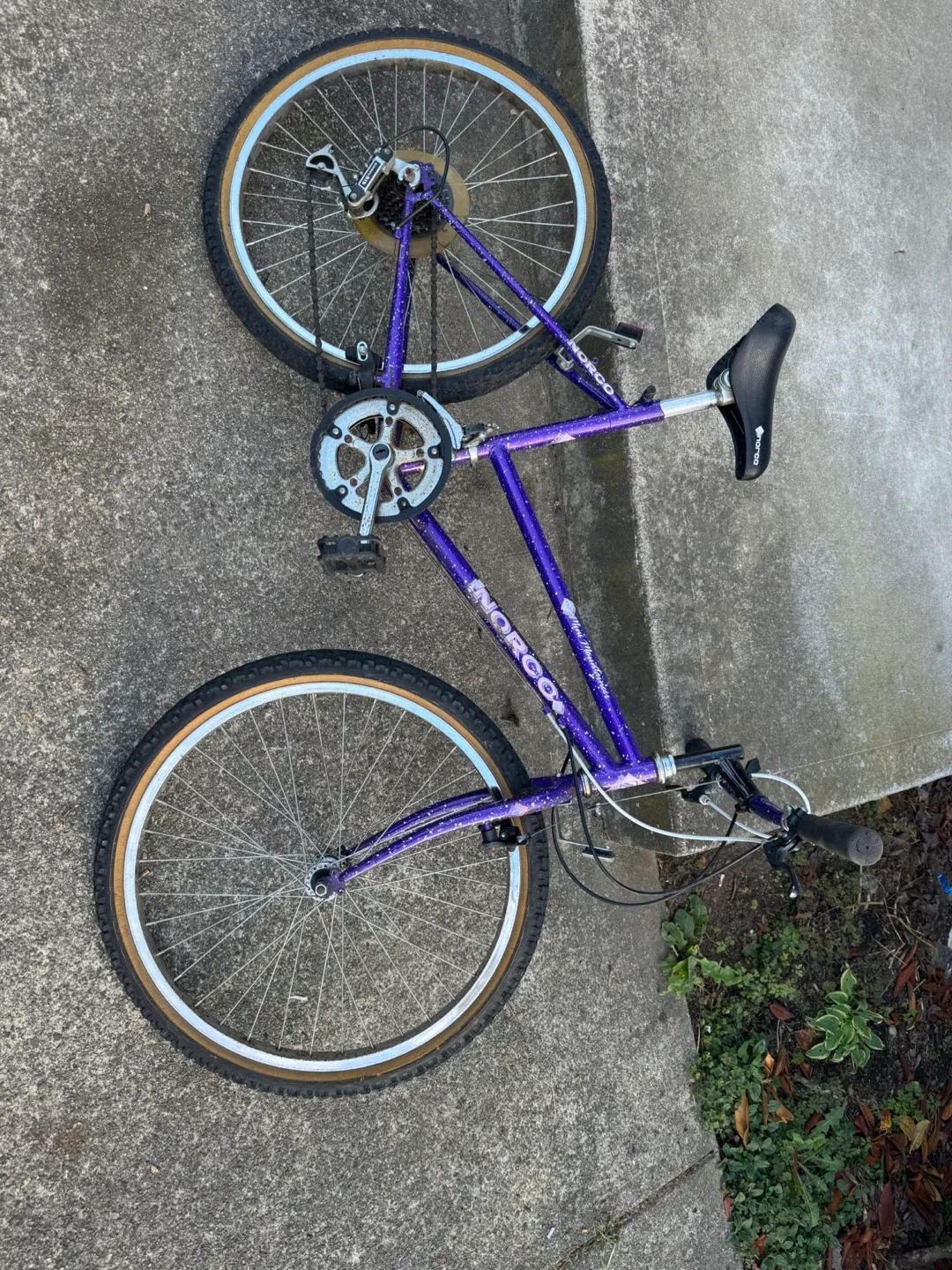 Mongoose Purple Bike