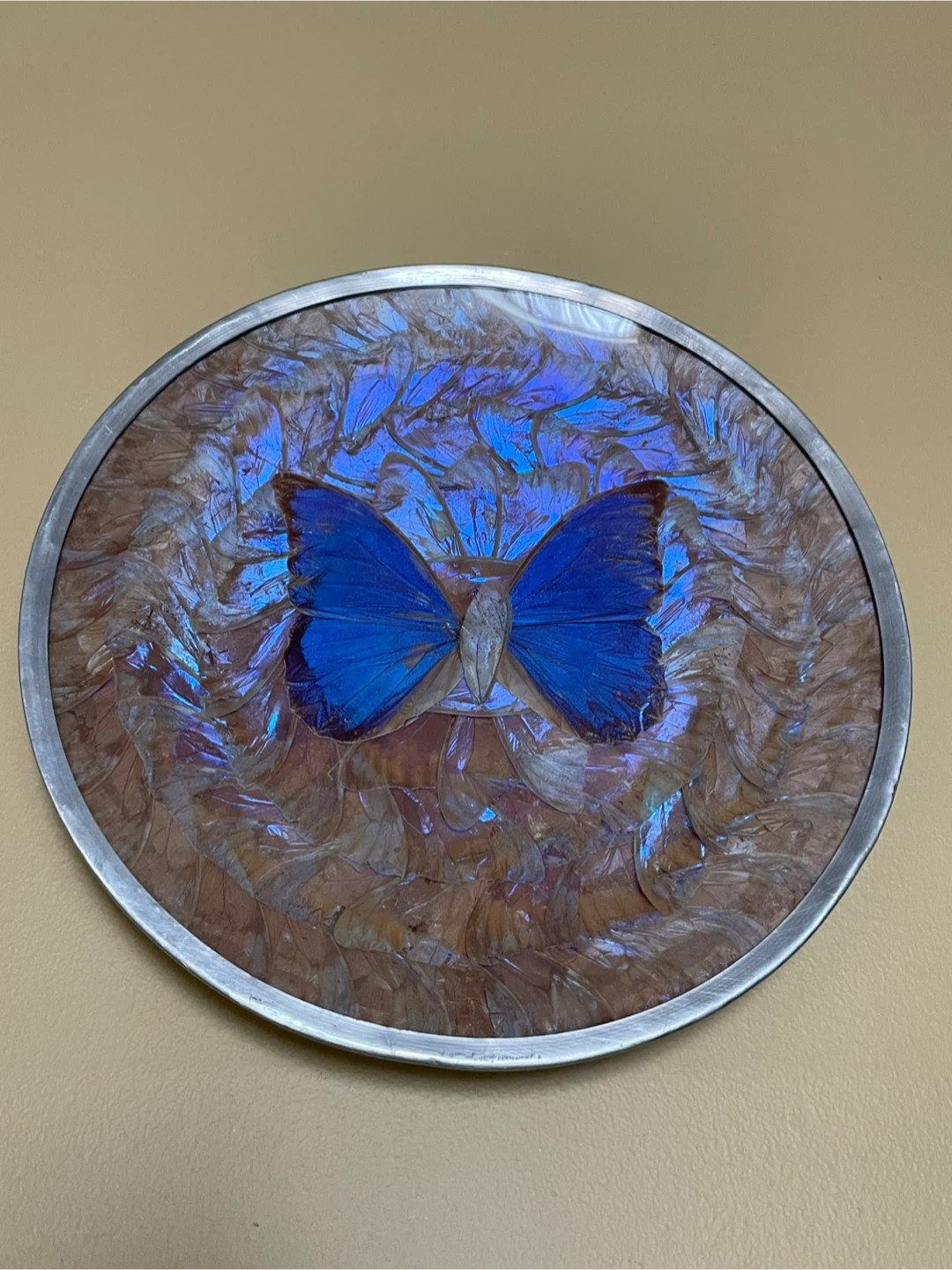 Butterfly Wing Art