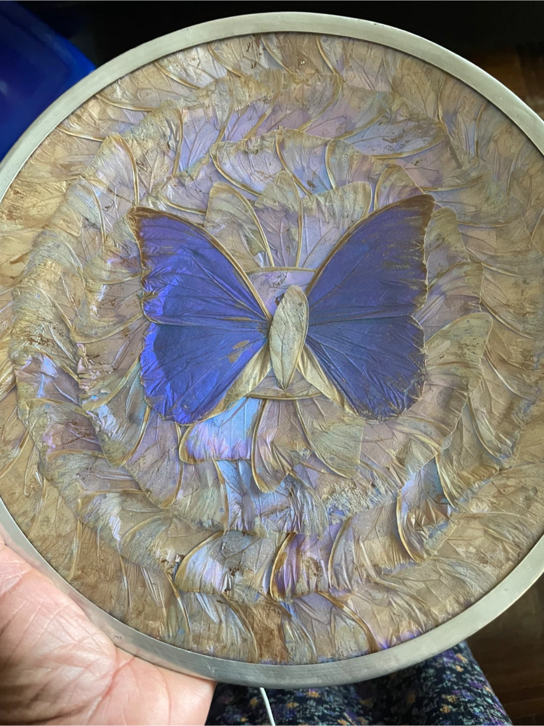 Butterfly Wing Art - photo 2