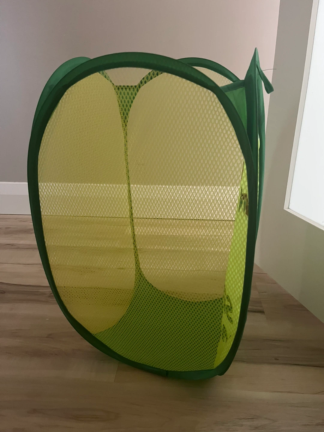 🥕FREE Silly Monkey Pop Up Hamper - photo 2