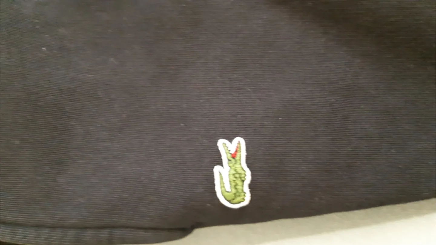 Jogger Sweatpant Lacoste image indicator(3)